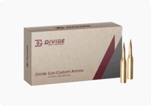 divide gun custom ammo